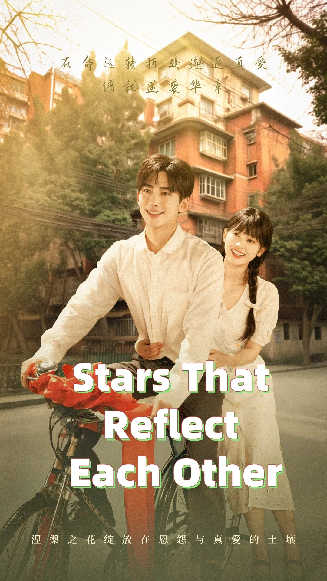 Stars That Reflect Each Other